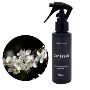 ambientador-premium-car-fresh-cars-collection